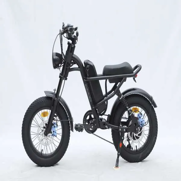 GT-0J2 New Design 16'' Mountain Electric Bicycle Out Door With Fat Tire Ebike